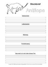 Antilope-Steckbriefvorlage-sw.pdf